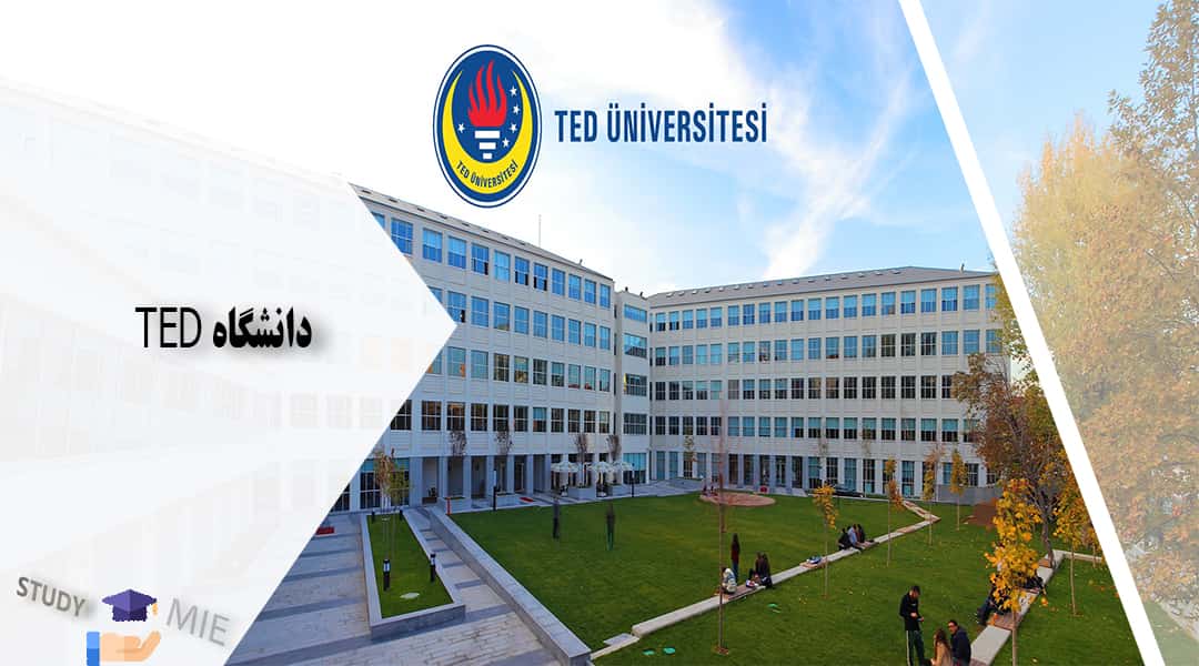 دانشگاه TED