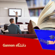 دانشگاه Gannon