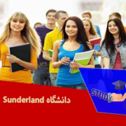دانشگاه Sunderland