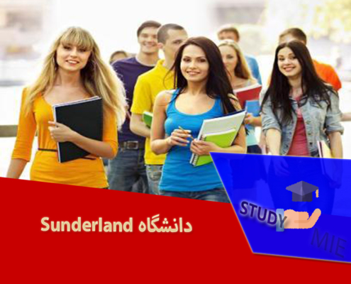 دانشگاه Sunderland