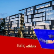 دانشگاه Haliç