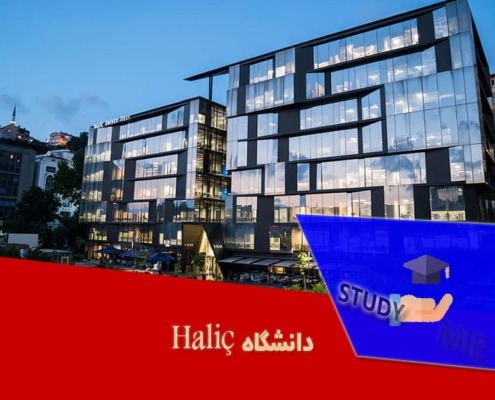 دانشگاه Haliç