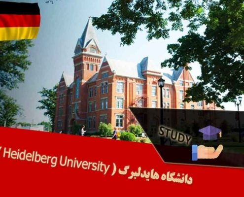 دانشگاه هایدلبرگ ( Heidelberg University )