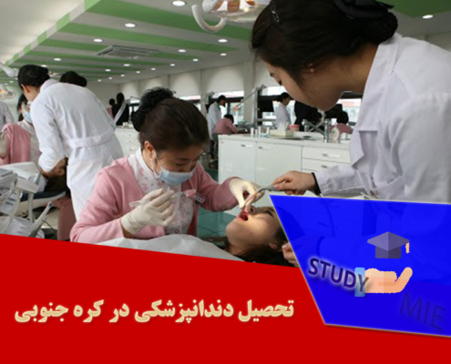 تحصیل دندانپزشکی در کره جنوبی