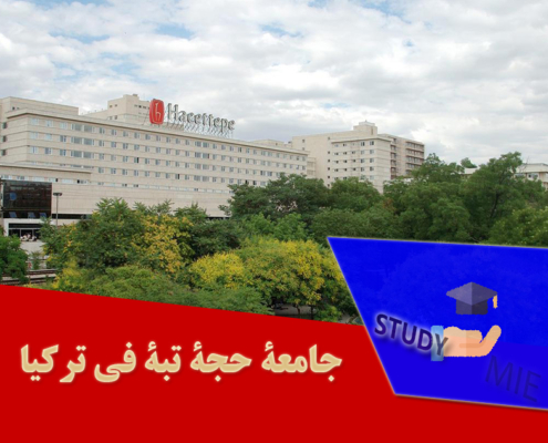 جامعة حجة تبة في ترکیا