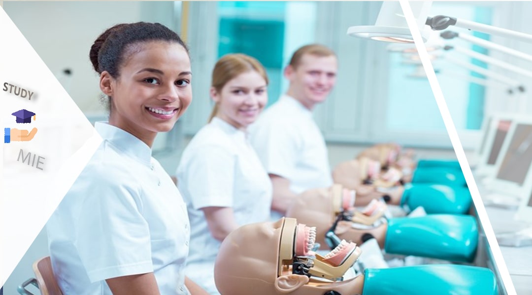 تحصیل دندانپزشکی در استرالیا